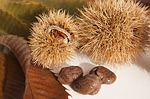 sweet-chestnuts-67062_150