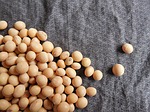 soybeans-182295_150